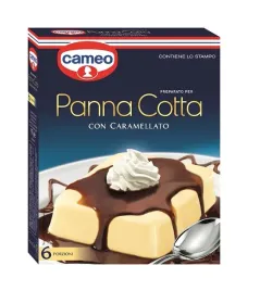 panna-cotta-deser-cameo-carmellato-z-karmelem-baza-do-przygotowania-deseru