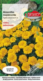 nasiona-aksamitka-rozpierzchla-niska-zolta-1g-torseed