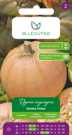 nasiona-dynia-zwyczajna-danka-polka-3g-w-legutko