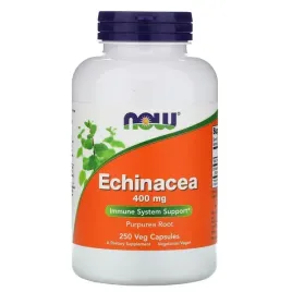 now-foods-echinacea-jezowka-purpurowa-400-mg-250-kaps-odpornosc