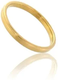 pierscionek-unisex-zloto-375-2-mm-r-17-18-1