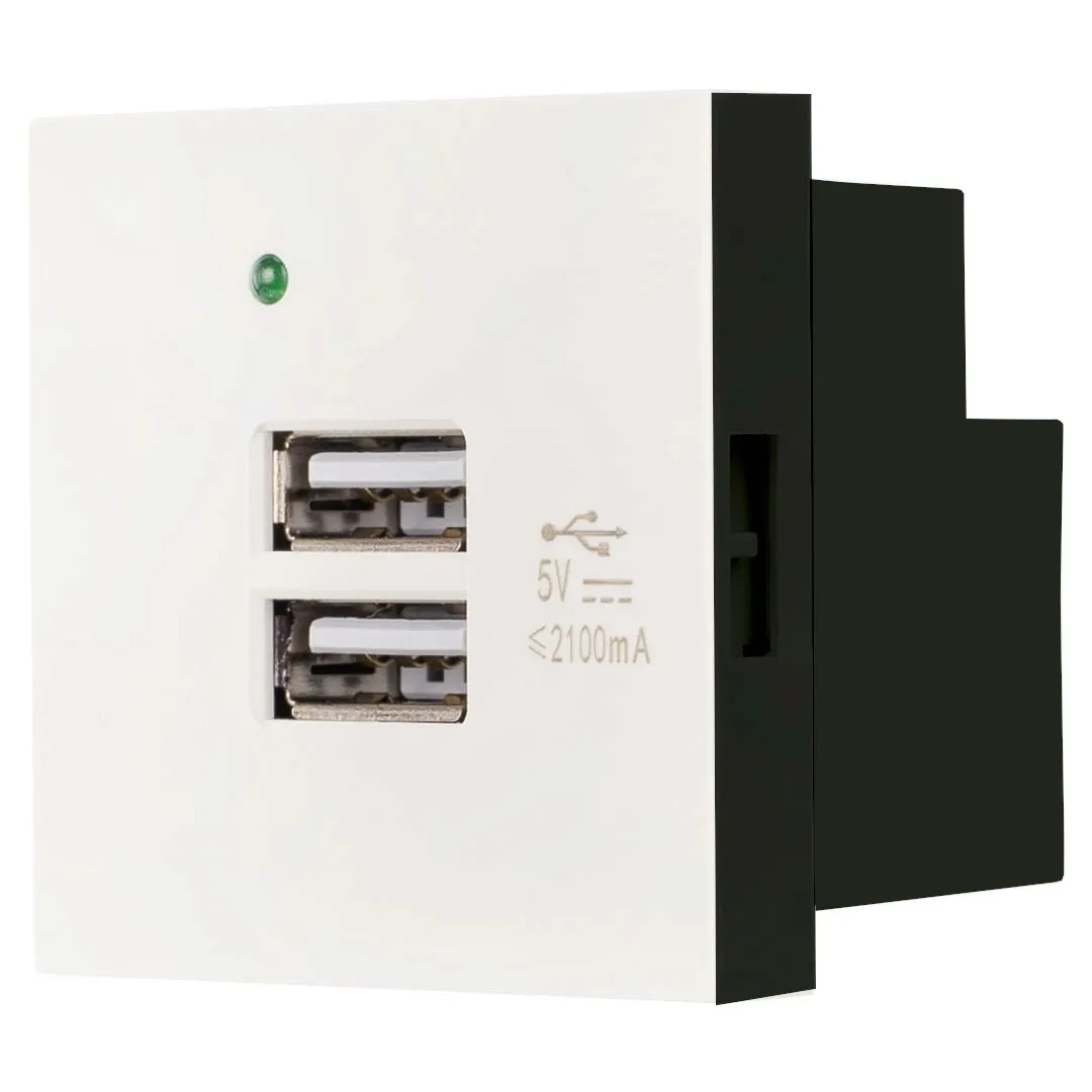 modul-gniazdo-gniazdko-ladowarka-2x-gniazdo-usb