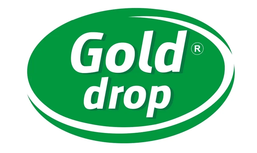 kostka-do-wc-gold-drop-dix-1szt