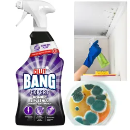 chemia-plyn-cilit-bang-koniec-z-plesnia-spray-750ml