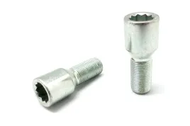 sruby-wloskie-14x125x27-torx-waskie-otwory-bmw