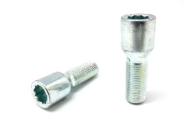 sruby-wloskie-14x125x33-torx-waskie-otwory-bmw