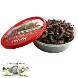 liwi-czerwony-robak-dendrobena-ii-nr-2-ok-35szt