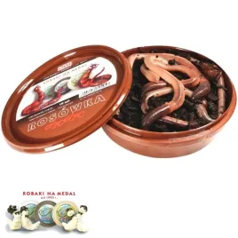 liwi-rosowka-kanadyjska-10szt