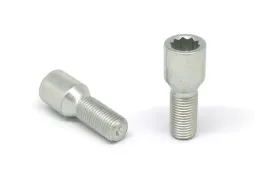 sruby-wloskie-14x15x30-torx-waskie-otwory