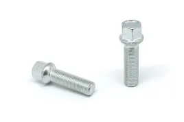 wloskie-sruby-14x15x45-kula-r13