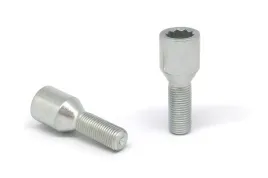 sruby-wloskie-12x125x28-torx-waskie-otwory