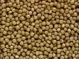hikari-cichlid-staple-mini-57g-pielegnice-opakowanie-oryginalne