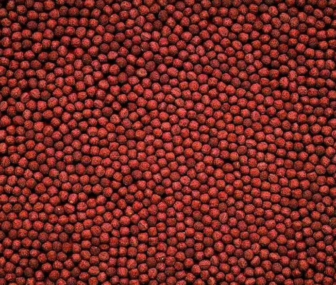 hikari-cichlid-gold-mini-250g-pielegnice-data-waznosci-przynajmniej-1-rok-od-momentu-zakupu