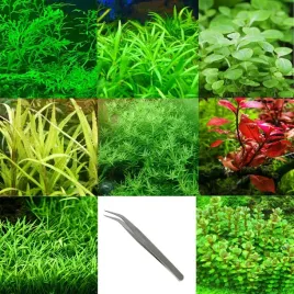 zestaw-roslin-do-akwarium-na-kazdy-plan-gratis-v2