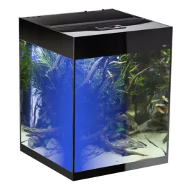 aquael-glossy-cube-safe-tank-135l-50x50x63-czarny-zestaw-dayandnight-akwarium
