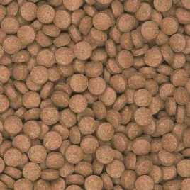 tropical-supervit-tablets-b-pokarm-tabletki-100g-dla-ryb-akwarium