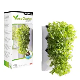 versa-garden-hydroponic-herbs-wiszacy-ogrod-uprawa-ziol-piekna-ozdoba