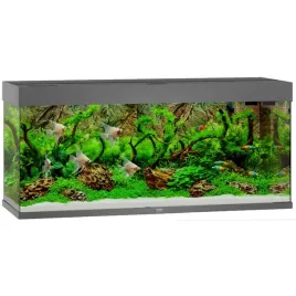 juwel-rio-szary-240-akwarium-z-oswietleniem-led