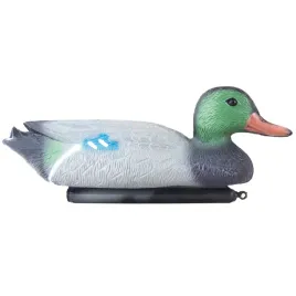 kaczka-krzyzowka-samiec-ozdoba-do-oczka-wodnego