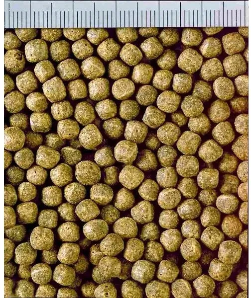 hikari-cichlid-staple-medium-250g-pielegnice-marka-hikari