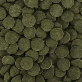 tropical-hi-algae-disc-xxl-dla-glonojadow-50g