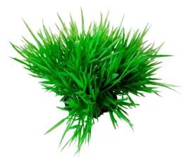 aquael-sztuczna-roslina-kepkowa-pr-203-3-7cm