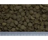 hikari-mini-algae-wafers-22g-dla-glonojadow-marka-hikari