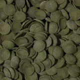 tropical-green-algae-wafers-1000ml-dla-glonojadow-marka-tropical