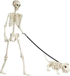 szkielet-halloween-165-cm-naturalnej-wielkosci-ruchome-stawy-pelne-cialo