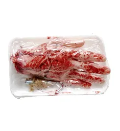 krwawa-dlon-zapakowana-na-tacy-krwawa-reka-laboratorium-halloween