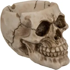popielniczka-zywiczna-czaszka-dekoracyjna-10612-cm