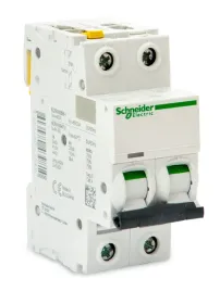wylacznik-nadpradowy-2p-16-a-char-b-schneider