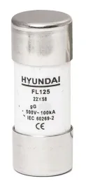 bezpiecznik-topikowy-fl22x58-40a-gg-hyundai