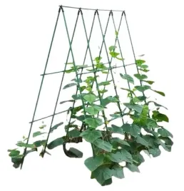 podporka-do-roslin-ogorkow-pomidorow-stelaz-do-pnacych-warzyw-xxl-120x80