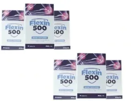 6x-stawy-na-wysokim-poziomie-flexin500-zdrowie