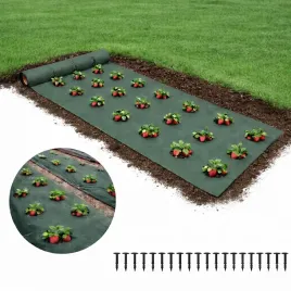 agrowloknina-agrotkanina-mata-antychwastowa-z-otworami-do-sadzenia-1x10m