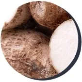 nicorix-odrzucajacy-nawyk-palenia