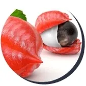 nicorix-odrzucajacy-nawyk-palenia-kod-producenta-1-156-001-001-1