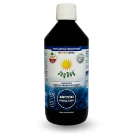 joy-day-koncentrat-napoju-probiotycznego-owoce-lasy-500-ml