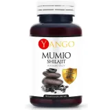 yango-mumio-shilajit-90-kapsulek-podstawowy-skladnik-grzyby