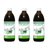 alter-medica-chlorofil-500ml-nazwa-chlorofil-w-plynie-500ml