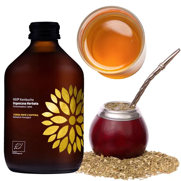 vigo-kombucha-yerba-mate-bio-330-ml-kod-producenta-vigo