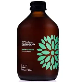 vigo-kombucha-ogorek-kolendra-bio-330ml