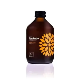 vigo-kombucha-imbir-acerola-bio-330-ml