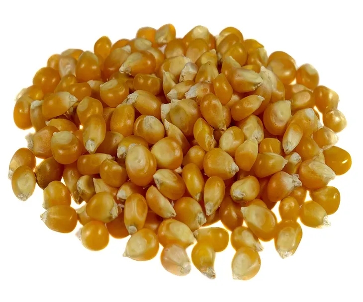 targroch-popcorn-ziarno-300-g-stan-nowy