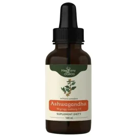 nanga-ashwagandha-wyciag-ziolowy-1-1-100ml