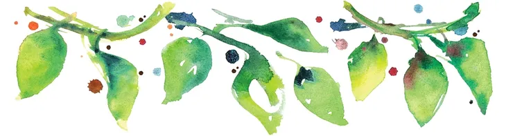 schar-makaron-gnocchi-300-g-cechy-dodatkowe-bez-laktozy-weganskie-wegetarianskie