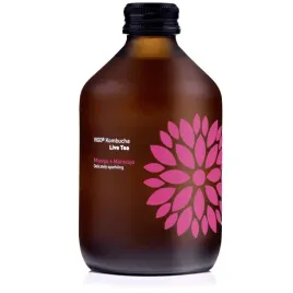 vigo-kombucha-mango-marakuja-bio-330-ml