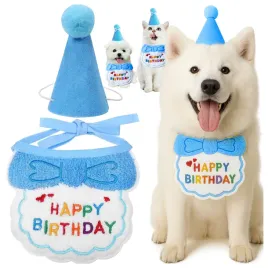 zestaw-urodzinowy-dla-psa-czapka-sliniak-impreze-urodziny-pupila-niebieski