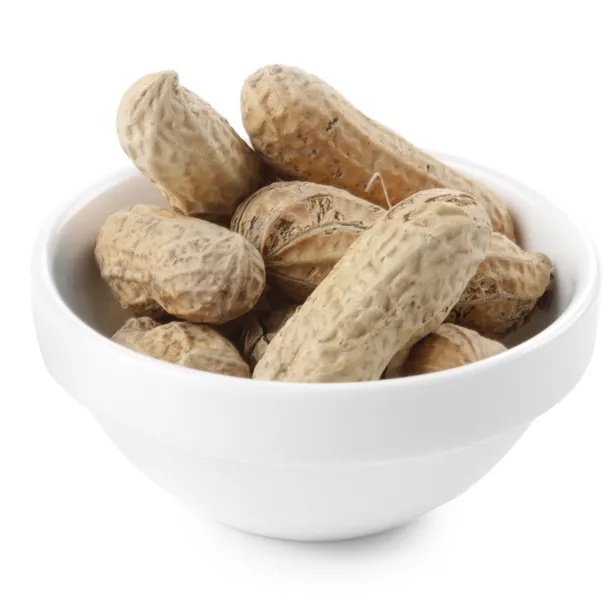 miseczka-redondo-tapasmini-6-szt-kolor-bialy